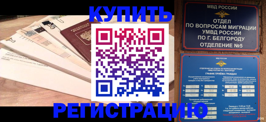 временная регистрация в Щёлково